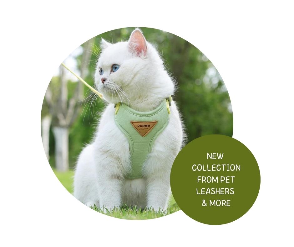 Pet leash, Harness & Collars