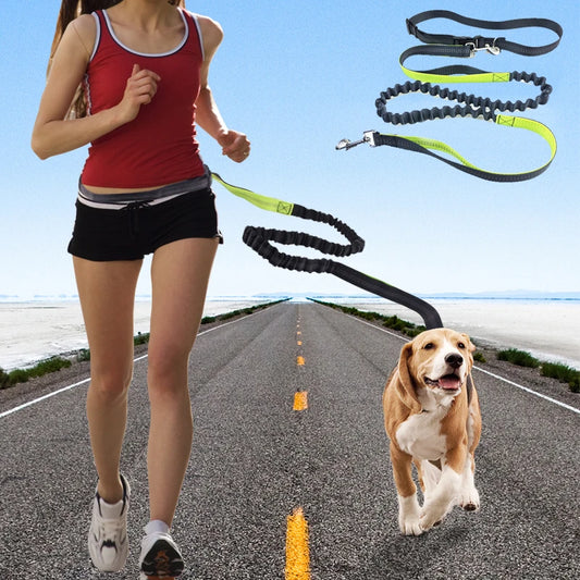 Hands-free Running Walking Pet Dog Leash