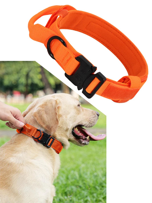 Orange Tactical Dog Collar