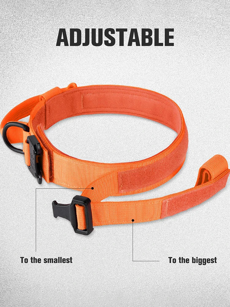 Orange Tactical Dog Collar