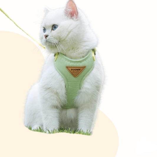 Cozy Soft Cat & Dog Harness and Leash